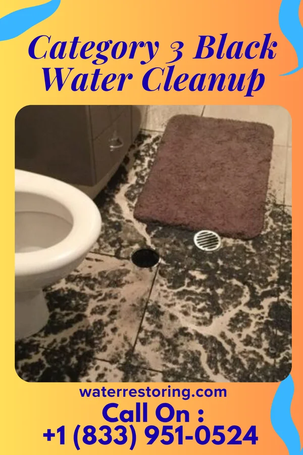 Category 3 Black Water Cleanup in Ashville, PA