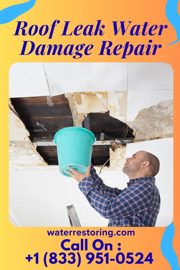 Roof Leak Water Damage Repair in Ashville, PA