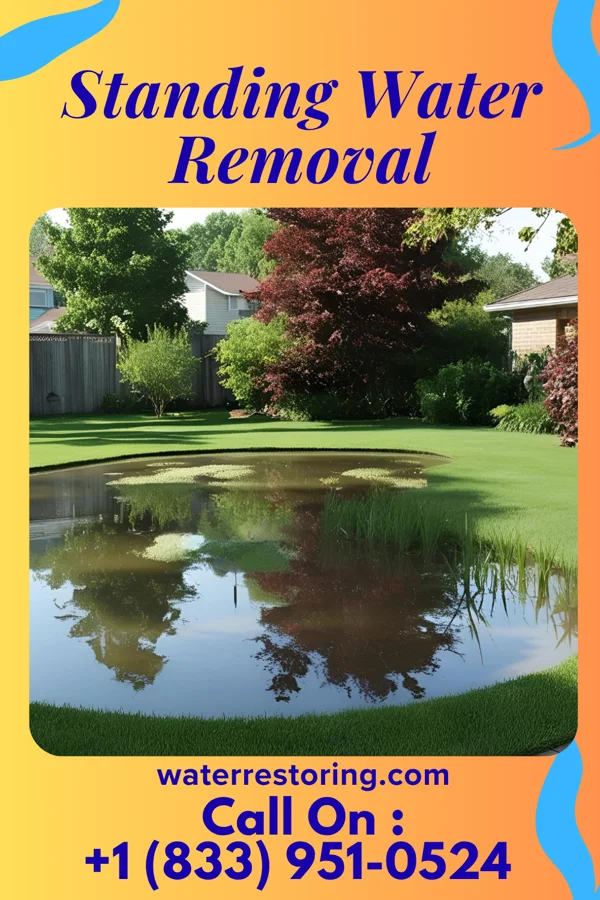 Standing Water Removal in Ashville, PA